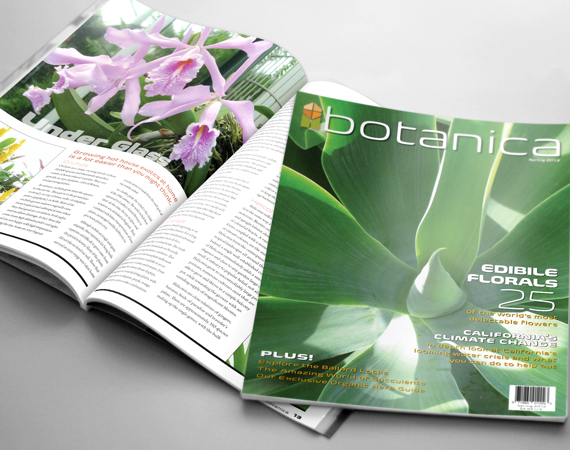 Botanic Magazine Layout