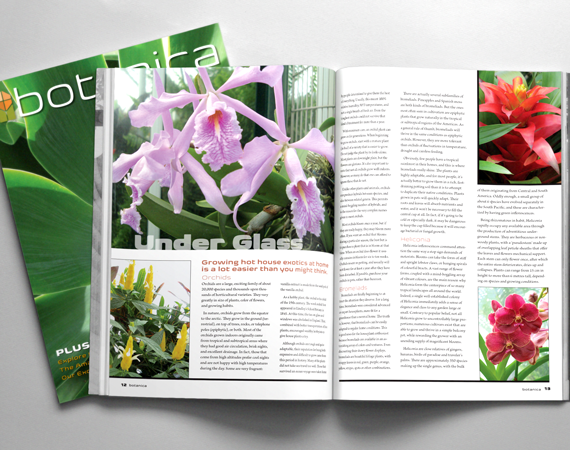 Botanic Magazine Layout